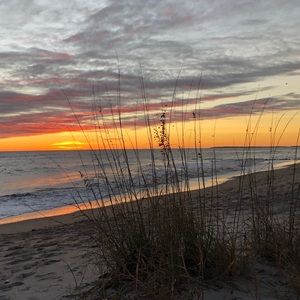 Meet your Posher, Ali